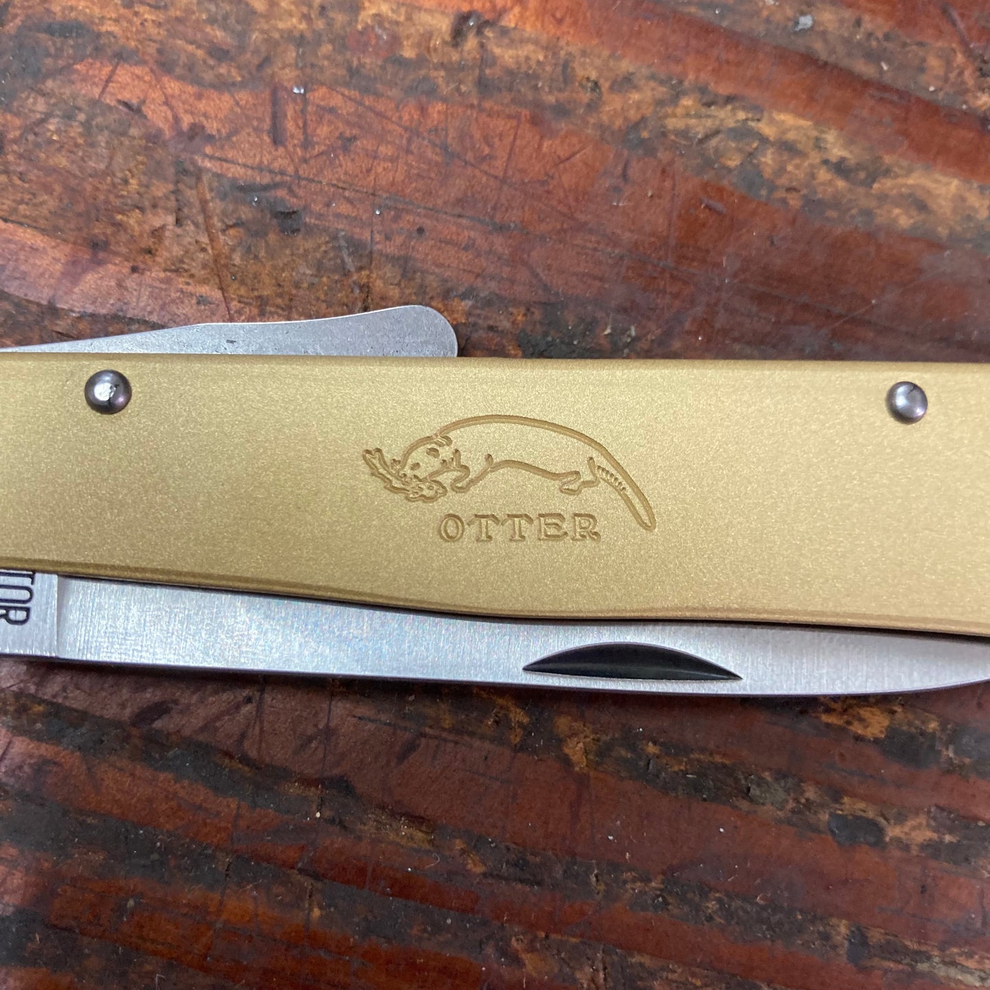 Otter Knives Brass Mercator w/ Stainless Blade (OTT10726R)